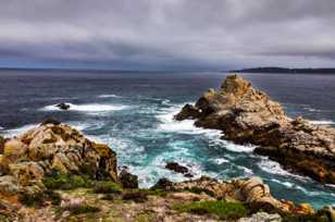 Point Lobos-3280.jpg Point Lobos-3280.jpg
